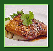 Salmon